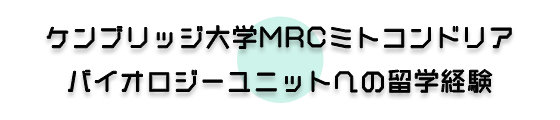 ケンブリッジ大学MRCミトコンドリアバイオロジーユニットへの留学経験